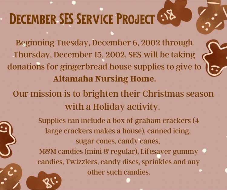 December SES Service Project 
